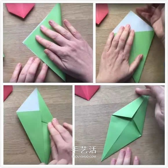 郁金香和花茎叶子的折解