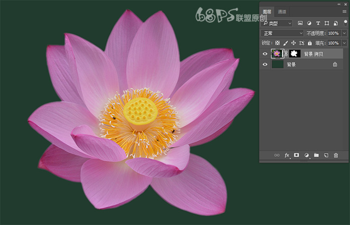 Photoshop使用曲线工具快速抠出荷花教程,PS教程,素材中国网