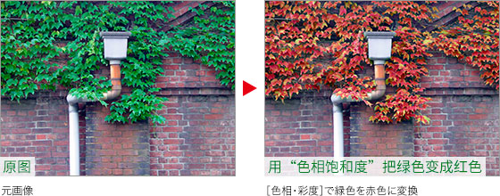 Photoshop快速把秋季落叶照片变成金黄色效果,PS教程,素材中国网