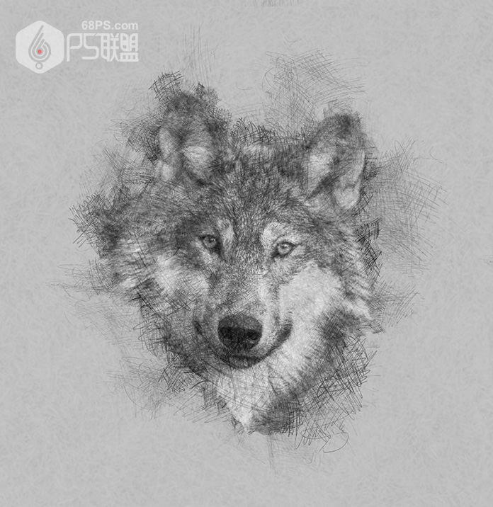 Photoshop给狼头照片添加素描铅笔画效果,PS教程,素材中国网