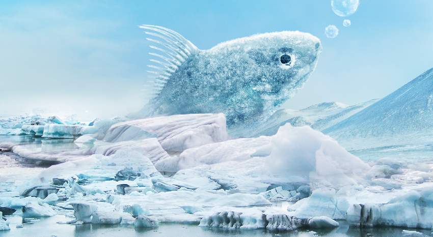 Photoshop合成冰冻特效的金鱼场景【英】,PS教程,素材中国网