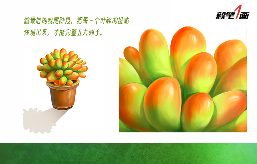 Photoshop详细解析多肉植物的绘制过程,PS教程,素材中国网