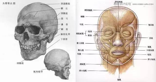 Photoshop详细解析商业大片皮肤修饰教程,PS教程,素材中国网