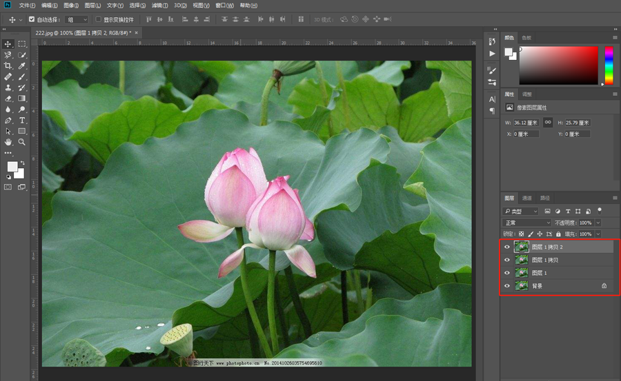 Photoshop制作水彩主题风格的荷花图,PS教程,素材中国网