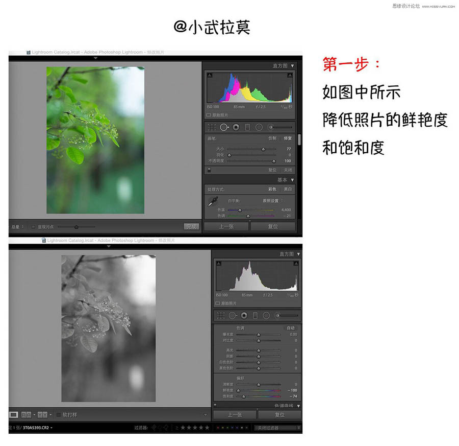 Photoshop快速调出唯美风格的蓝色艺术效果,PS教程,素材中国网