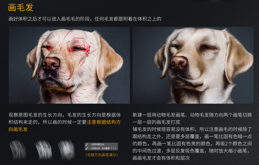 Photoshop绘制可爱的狗狗教程,PS教程,素材中国网